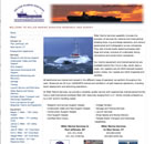 LI Web Design